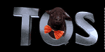 tqs.gif (2248 bytes)